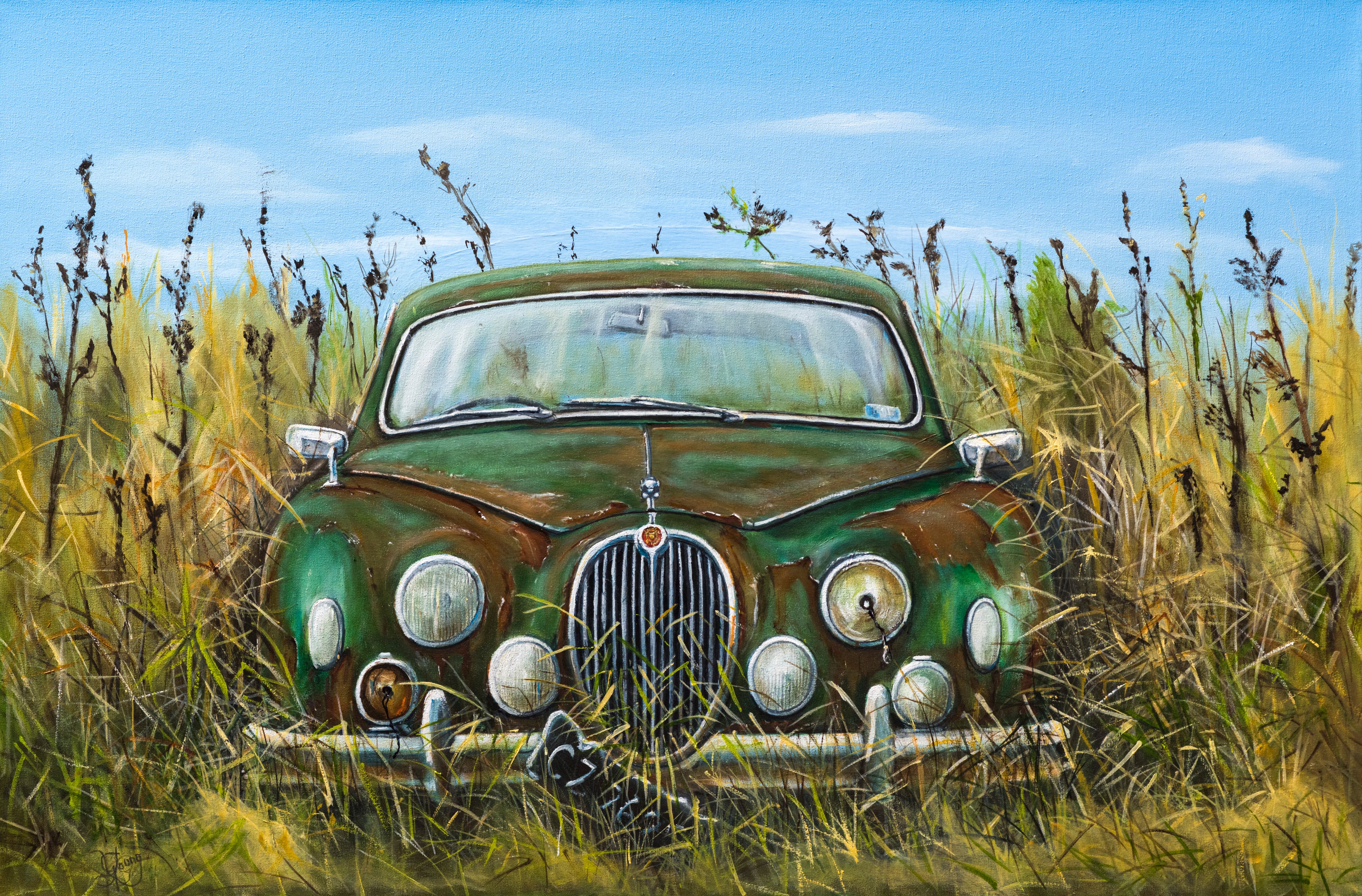 Old Jag in the grass