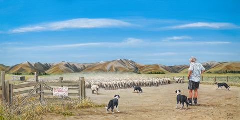 Central Otago Sheep Farm