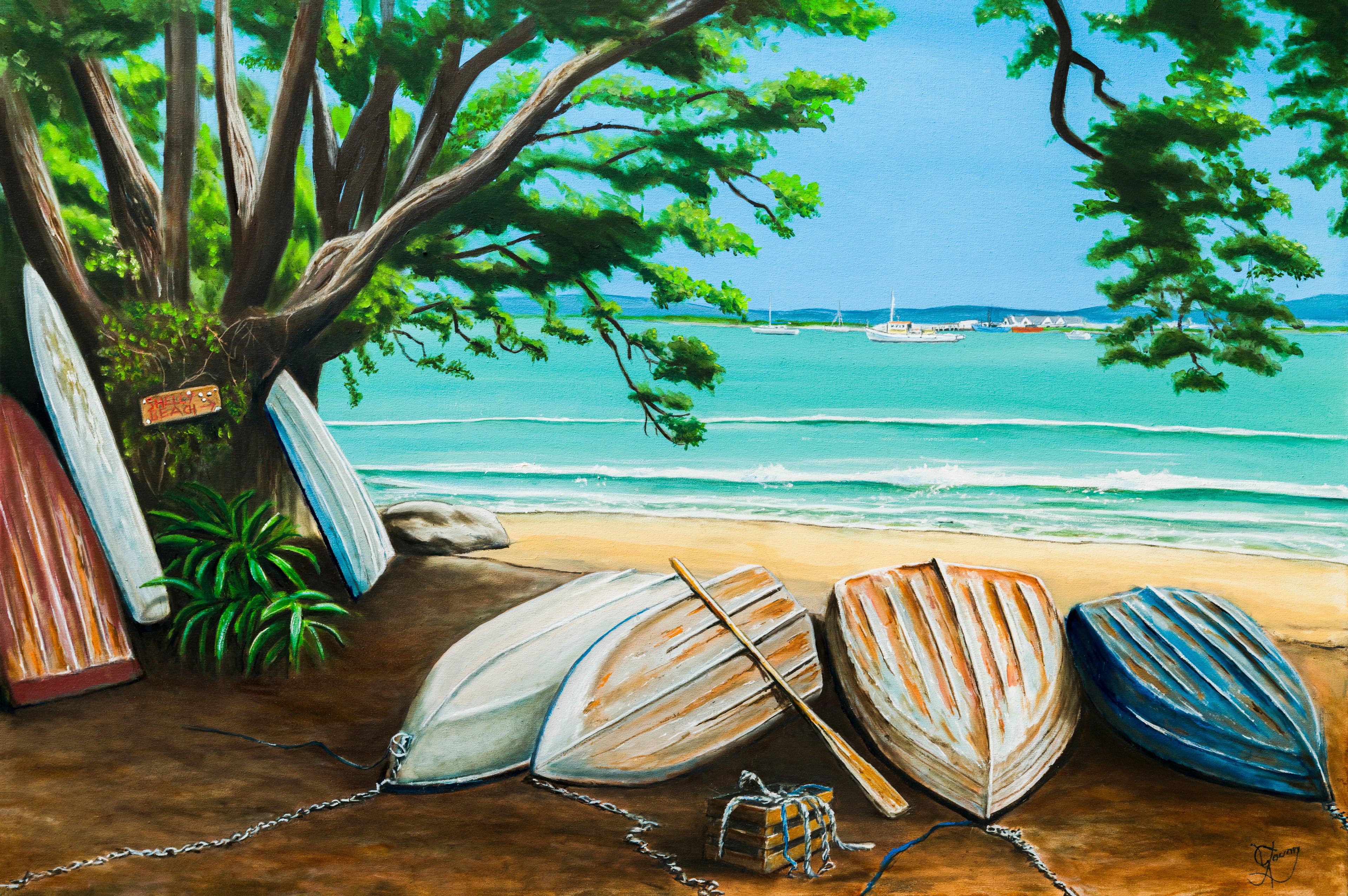 Whitianga Haven